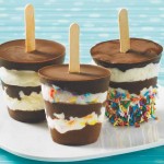 Magic Shell® Dipper Pops