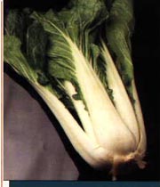 Ragoût de boeuf asiatique au bok choy