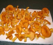 Pâte aux tagliatelles