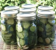 Garlic Dill pickles (Lexibule)