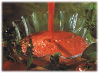 Coulis de tomates 1