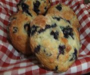 Blueberry Yogurt Muffins