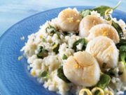 Seared scallops on lemon-mascarpone risotto