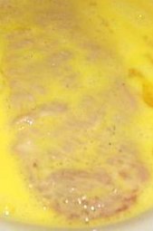 Escalopes de veau (Schnitzel)
